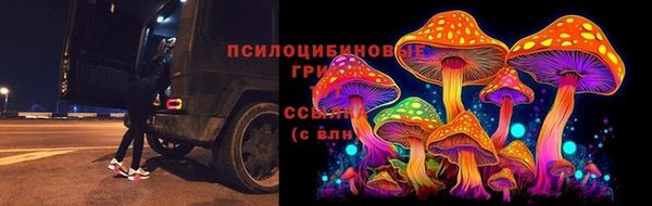 гидра Мегион