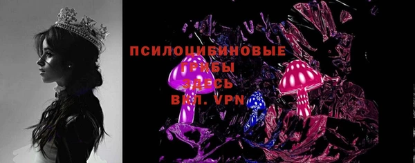 гидра Мегион