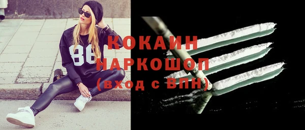 гидра Мегион