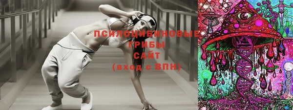 герыч Медногорск