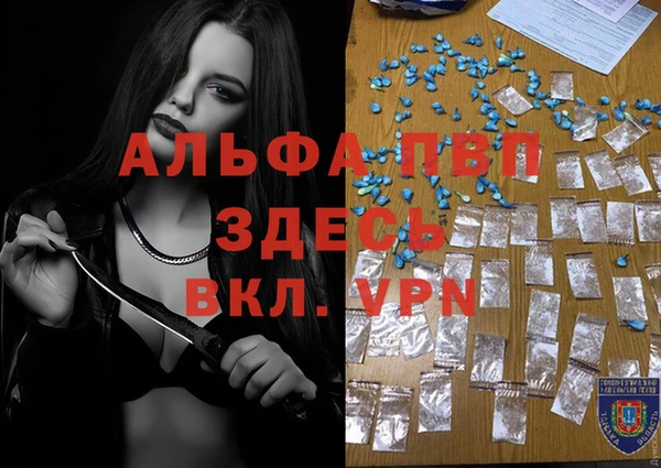 гидра Медвежьегорск