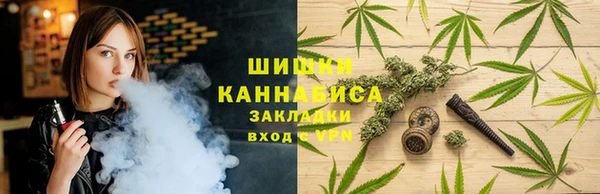 гидра Мегион