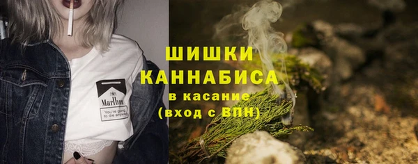 гидра Мегион