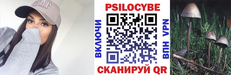 Псилоцибиновые грибы GOLDEN TEACHER  Туапсе 