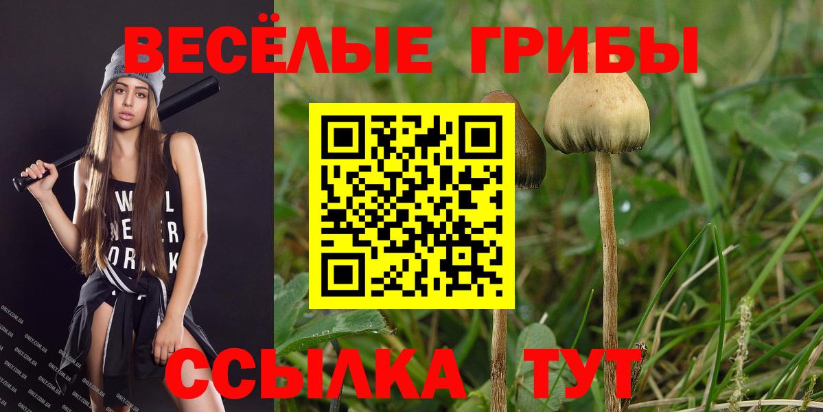 Туапсе  Галлюциногенные грибы ЛСД  Вход с VPN 